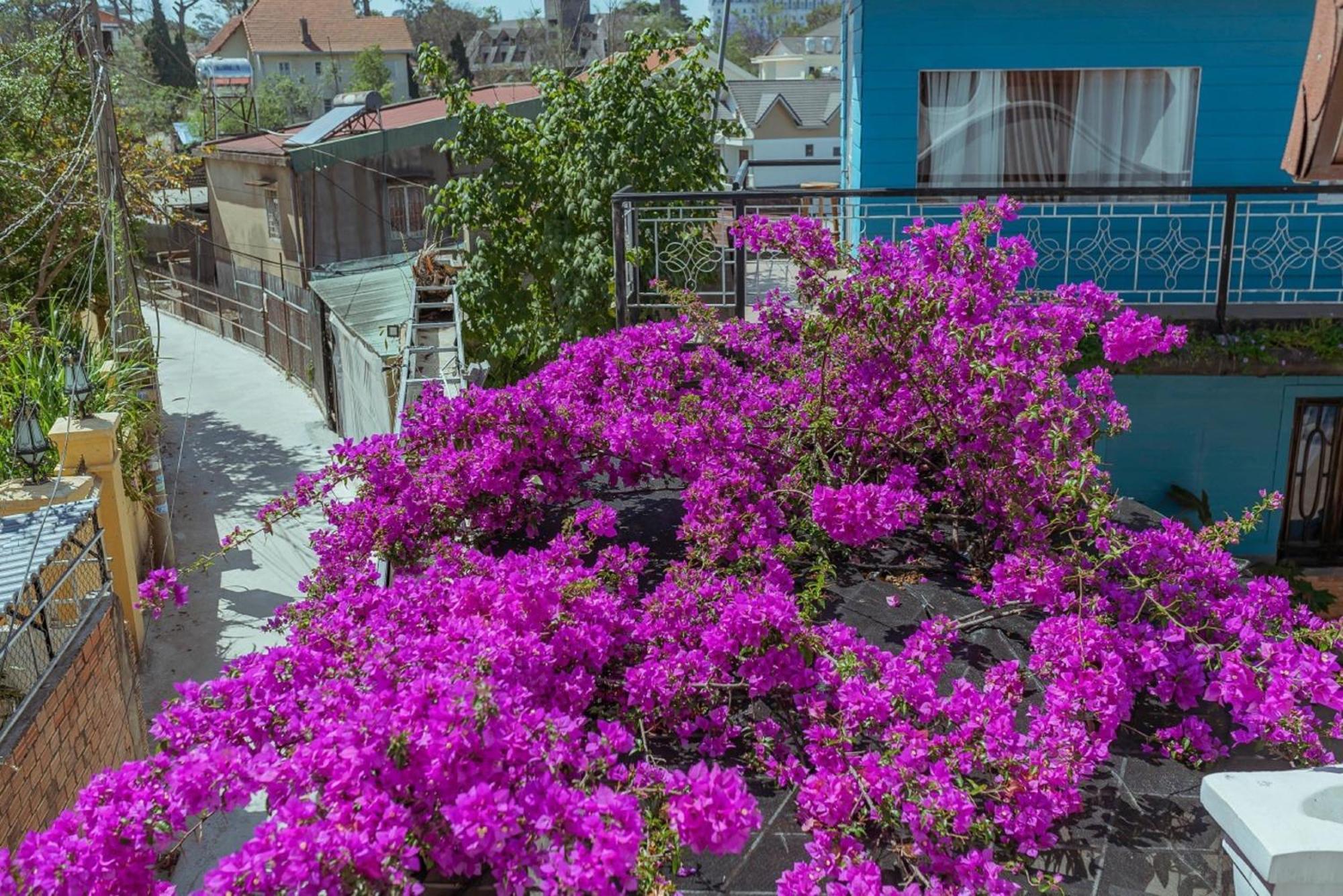 Mhome Dalat Exterior foto